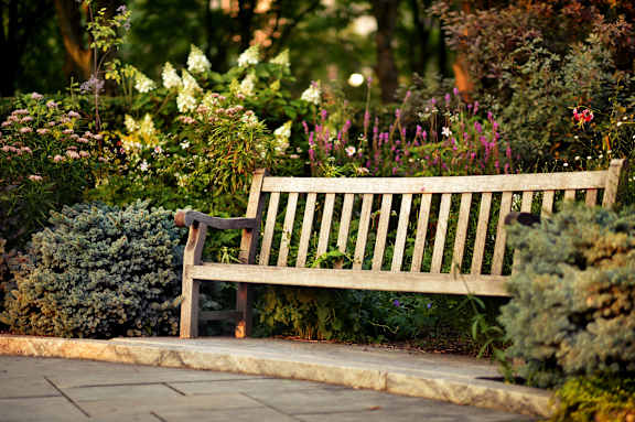 A wooden bench sits in front of a garden.