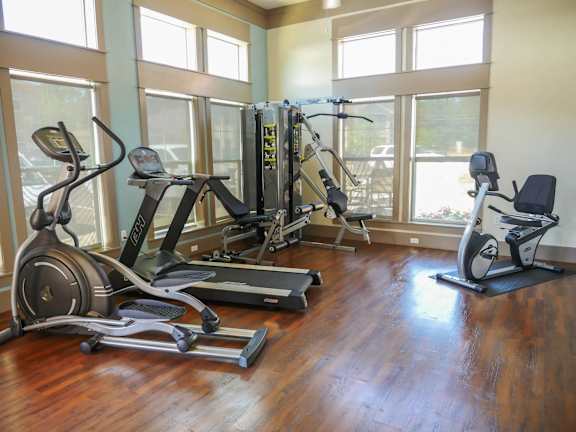 A gym with a row of treadmills and elliptical machines.
