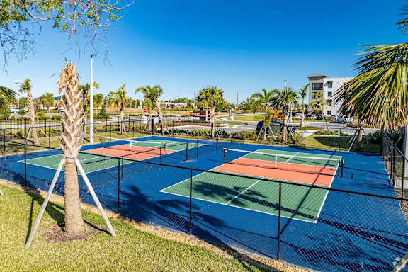 A tennis court surrounded by a fence and palm trees.