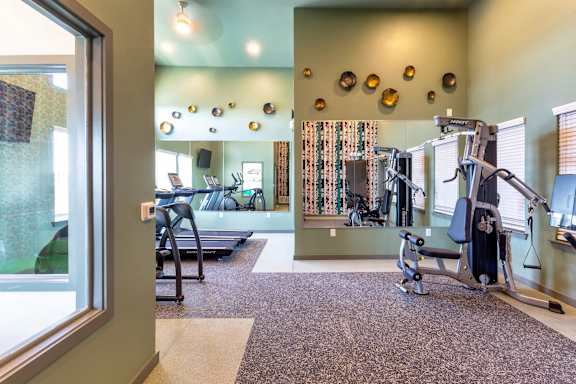 A gym with a treadmill, weights, and exercise equipment.