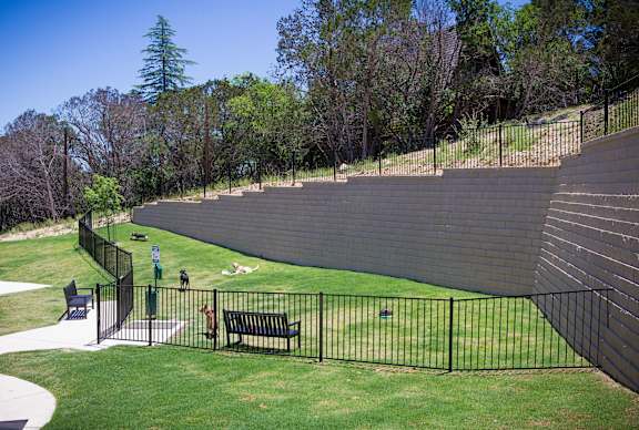 A park with a black fence and a bench.