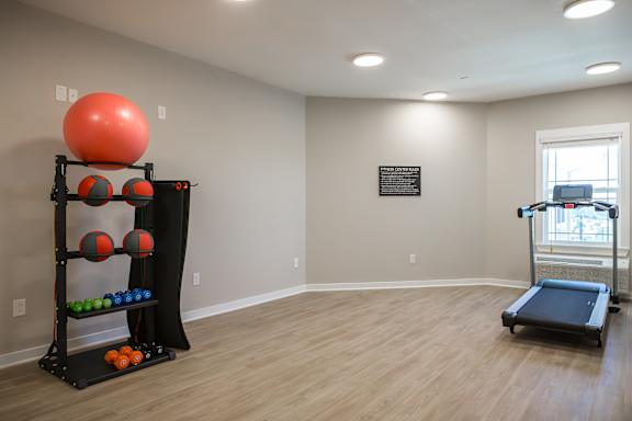 A room with a treadmill and a rack of exercise balls.