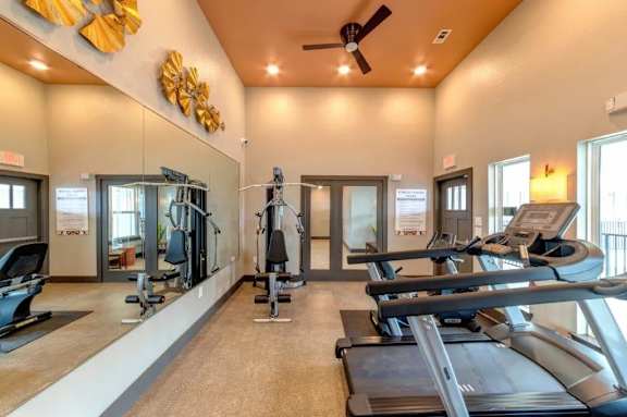 A gym with treadmills, weights, and exercise machines.