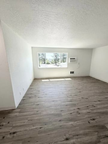 A room with wooden flooring and a window showing trees outside.