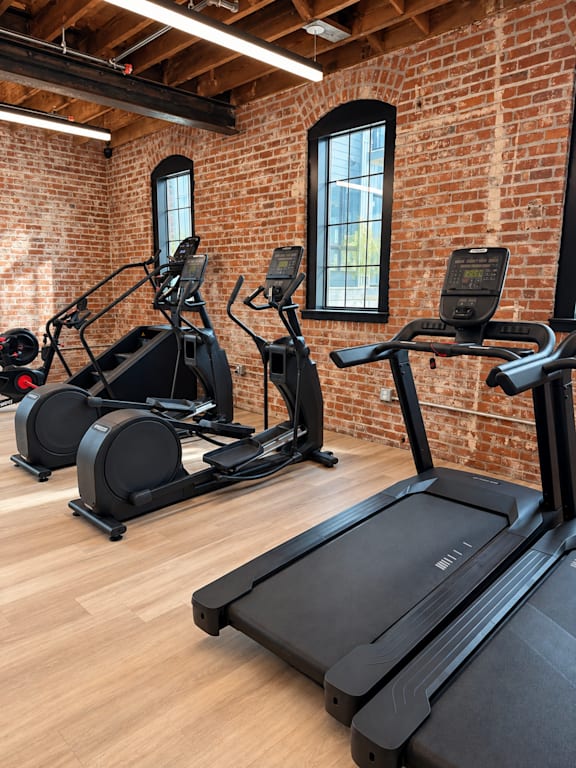 A gym with treadmills, stationary bikes, and elliptical machines.