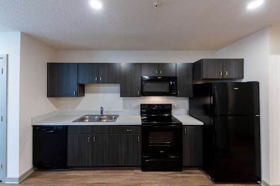 A kitchen with black appliances and cabinets.
