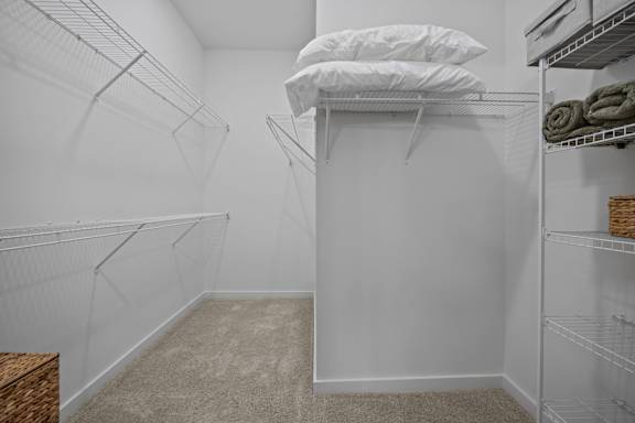 A white closet with shelves and a carpeted floor.at Address East End, Raleigh North Carolina