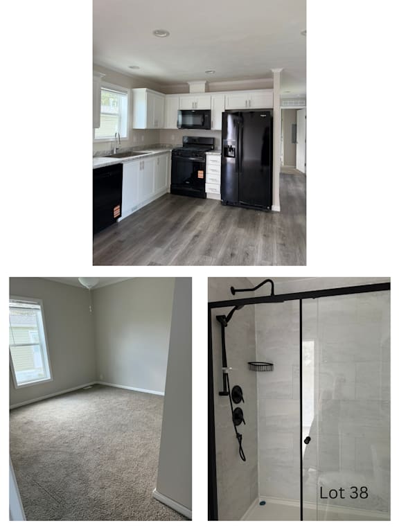 A shower with a glass door and a carpeted floor.