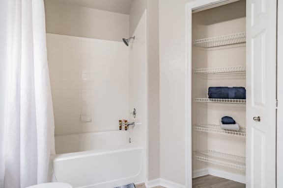 Bathroom With Closet at Portofino Apartments, Tampa, 33647-3412