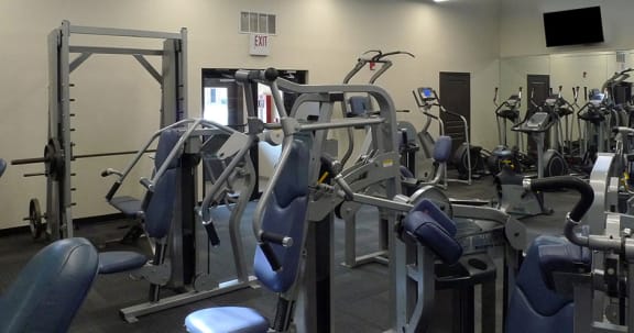 Fitness center - cardio and weight training