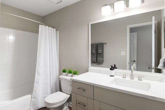 Renovated bathroom with Grey Cabinets