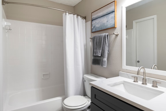 a bathroom with a sink and a toilet and a shower
