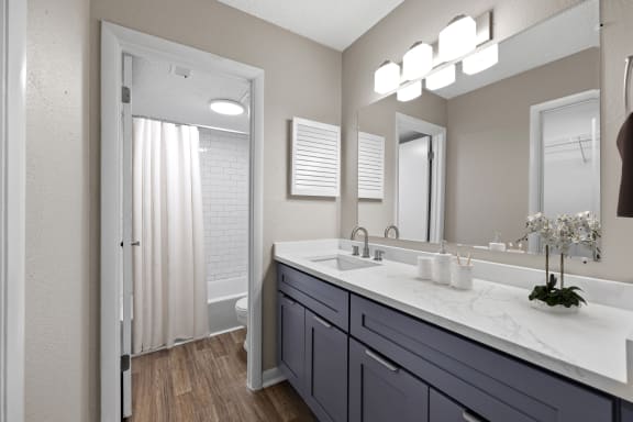 Renovated bathroom with Grey Cabinets