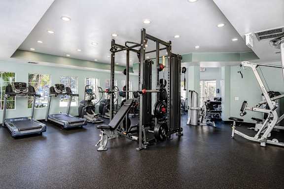 A gym with a variety of equipment including treadmills, weights, and a bench press.