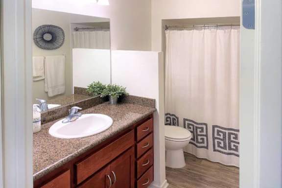 A bathroom with a sink, toilet, and shower.