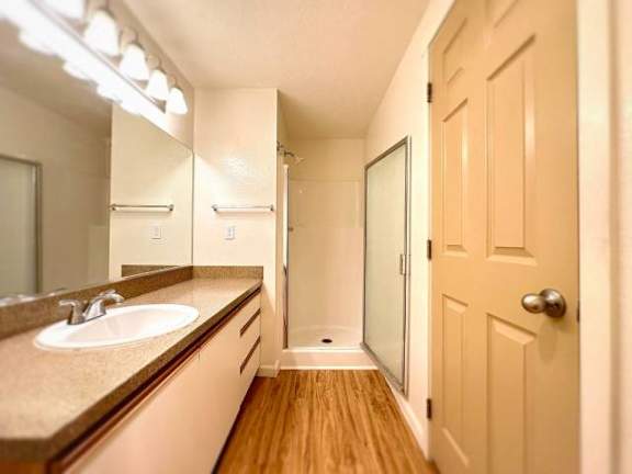 A bathroom with a sink, mirror, and wooden floor.