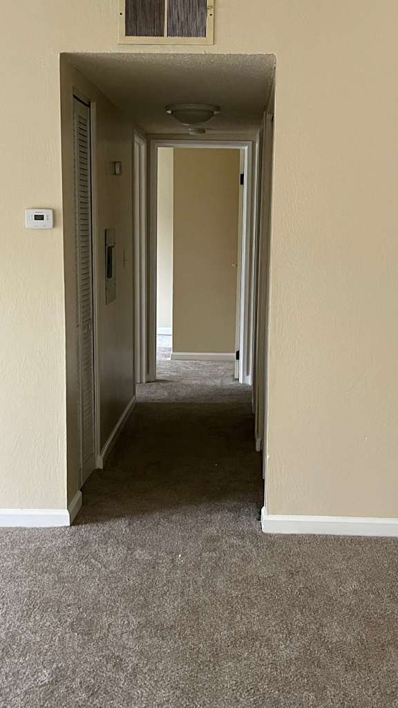Hallway with a carpeted floor at Vacaville Park Apartments, California , 95687