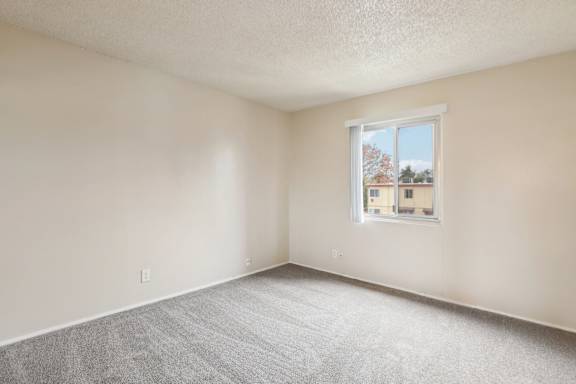 A room with a carpeted floor and a window showing a building outside.