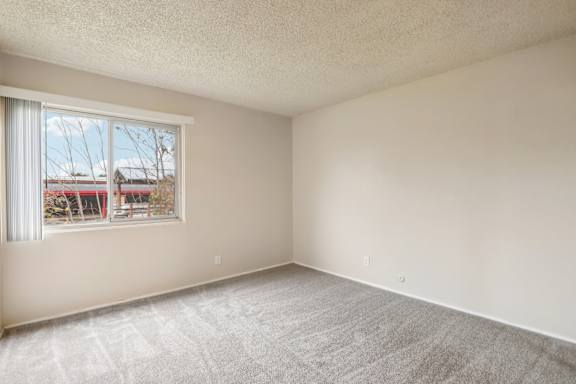 A room with a window and a carpeted floor.