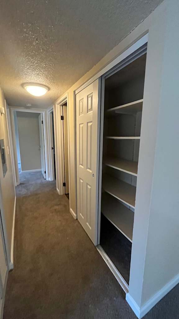 Cupboard with shelfing at Vacaville Park Apartments, Vacaville, CA, California