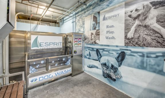 Dog Wash  at Esprit Apartments, Marina del Rey, CA