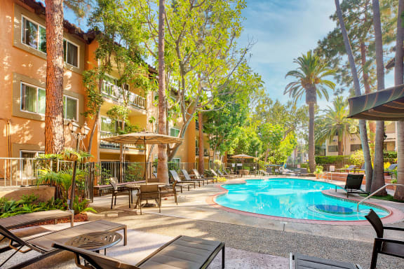 the swimming pool at the resort