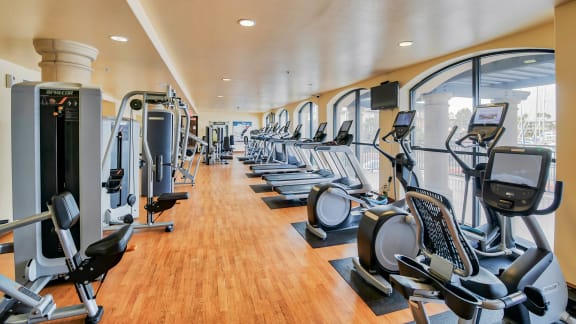 a long row of exercise bikes in a gym  at Marina Harbor, Marina del Rey
