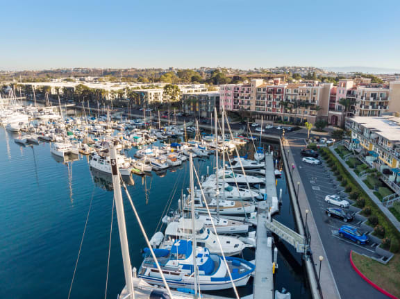a busy harbor filled with boats and buildings at Marina Harbor, Marina del Rey, CA, 90292