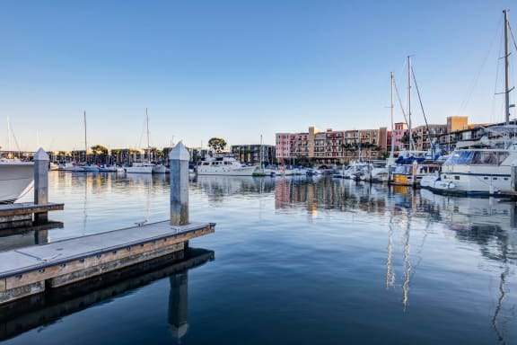 a marina with boats and buildings in the background on a clear day at Marina Harbor, California, 90292