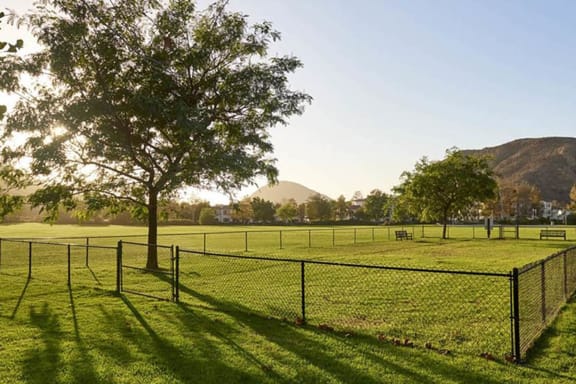 a fenced in dog park with a tree and mountains in the background at Mission Hills, Camarillo, 93012