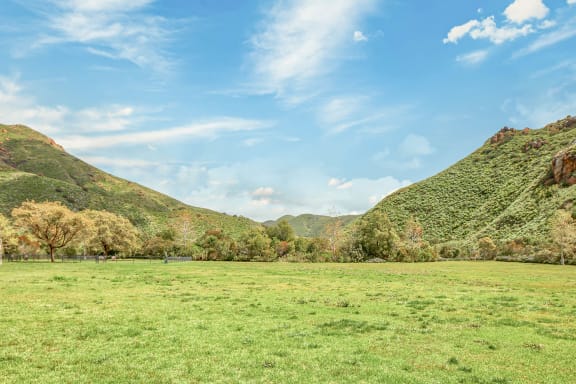 Lush Green Landscape at Mission Hills, Camarillo, 93012