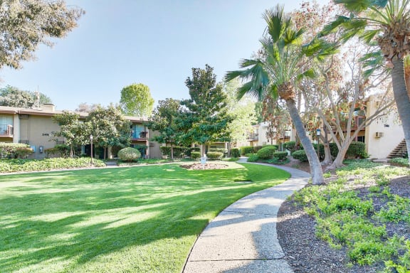 a yard with palm trees and a sidewalk at Mediterranean Village Costa Mesa, California, 92626
