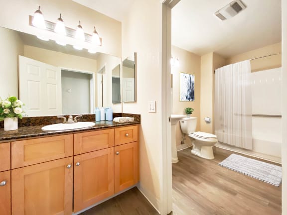 a bathroom with a sink and a toilet  at Pleasanton Place, California, 94566