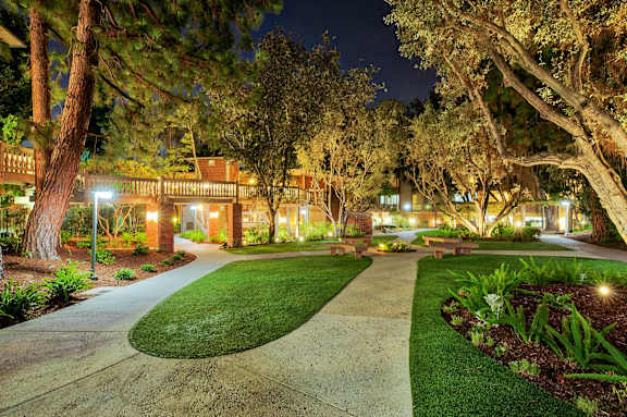 a yard with grass and trees at night