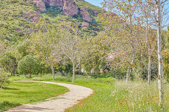 A path winds through a grassy area with trees on either side.