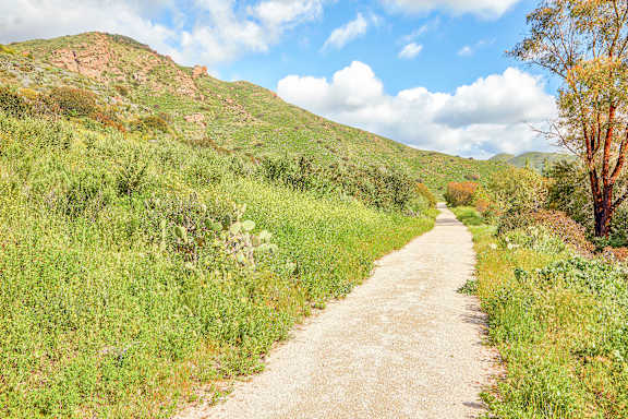 A dirt road leads through a grassy field.