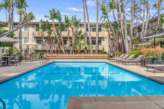 A swimming pool surrounded by palm trees and lounge chairs.