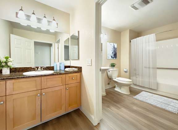 A bathroom with a vanity and a toilet.