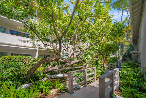 A tree in a backyard with a wooden deck.