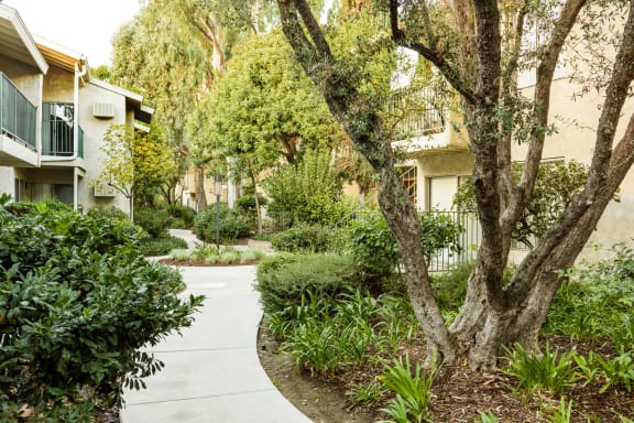 Walk through forest at Village Pointe Apartments, California, 91325