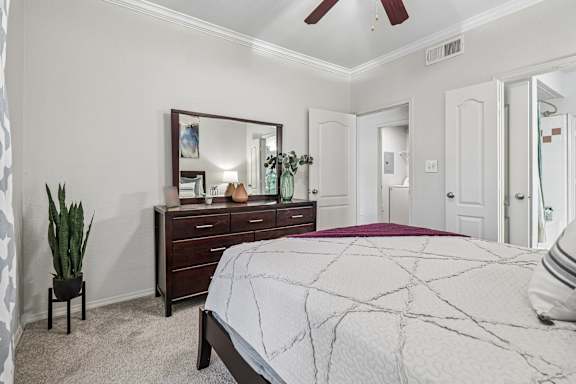 A bedroom with a bed, dresser, mirror, and a plant.