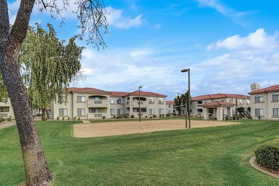 A tree stands in front of apartment buildings. at San Montego Apartments, Mesa, Arizona