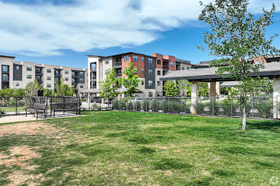 Lush Green Outdoor at Aurora Watson Branch, Texas