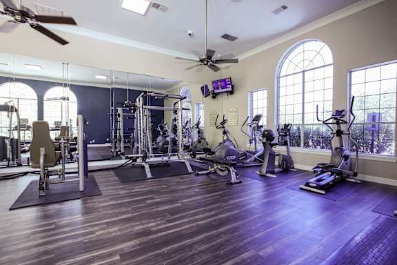 Gym a gym with weights and cardio machines and a ceiling fan