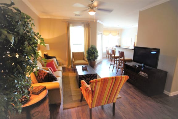 Model Living Room at The Fairways at Star Ranch, Hutto