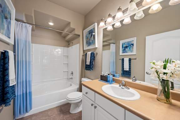 A bathroom with a white toilet, a sink, a mirror, and a shower.