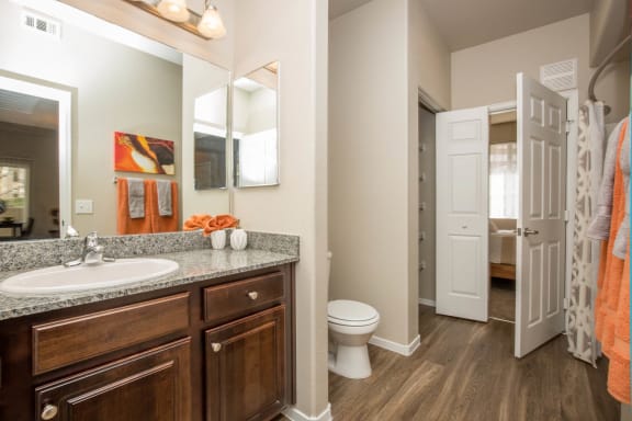 Bathroom With Storage Space at The Belmont by Picerne, Nevada