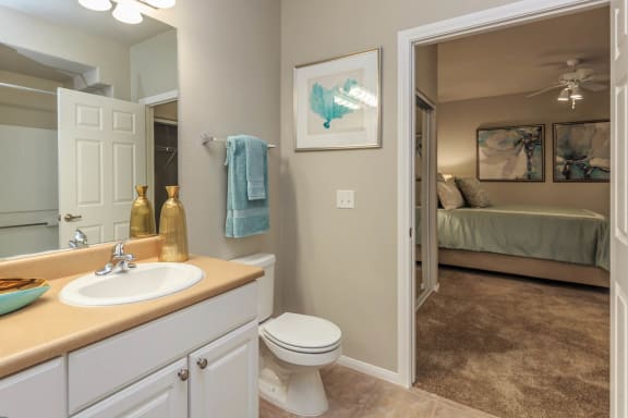 Bathroom With Storage at The Covington by Picerne, Nevada