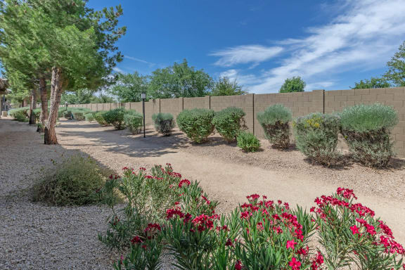 Garden View at The Paseo by Picerne, Goodyear, AZ, 85395