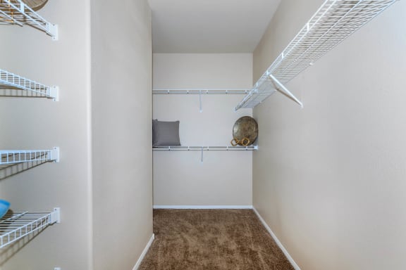 Large Closet at The Preserve by Picerne, N Las Vegas, NV